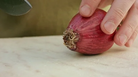 Chefs hands cutting a fresh onion. Video stock 80216016