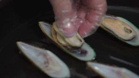 Chef's hands in gloves lay in shells mussels of meat on baking sheet. HD Stock Footage 141446411