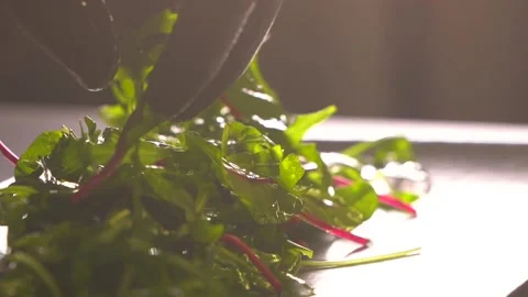The chef's hands in gloves put the salad on the plate. Stock Footage 149867772