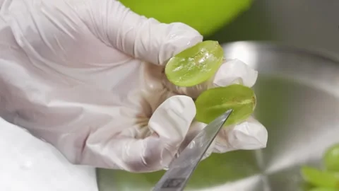 Chef's hands preparing fresh green grapes for dessert topping on a metal plate, Stock Footage 337751279