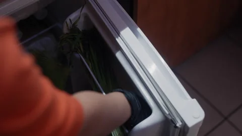 Chef's Hands Selecting Fresh Greens from Fridge Stockbeeldmateriaal 323094890