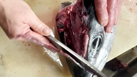 Chef's knife cutting into the head of a whole fresh bluefin tuna, close up Stockbeeldmateriaal 339312838