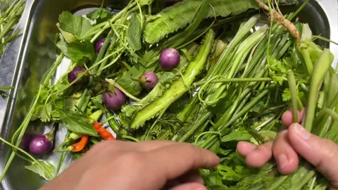 Chef's POV shot hands picking green vegetables, selecting veggie in kitchen. Stock Footage 282087827