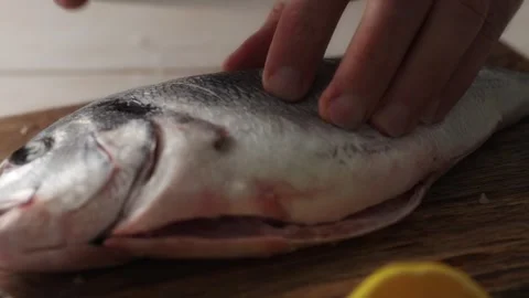 Chef's Precise Incision on Fresh Fish. Stock Footage 259178495