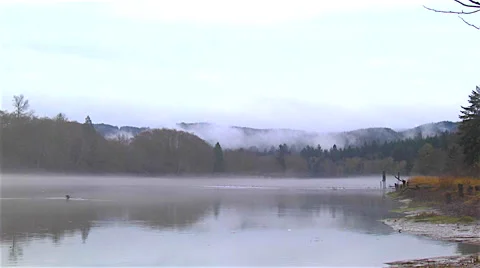 Chehalis river Montesano Washington gray foggy morning in november Stock Footage
