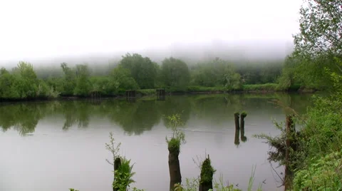 Chehalis river  - Olympic Peninsula Rainforest Montesano Washington 動画素材 44284424