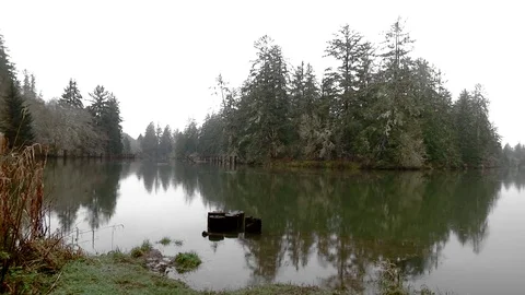 Chehalis River winter Olympic Peninsula Wa. State Stock Footage 70970253