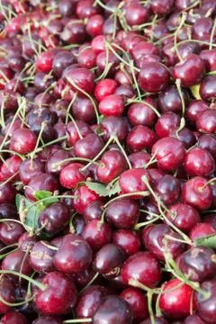 Chelam cherry pile Stock Photos