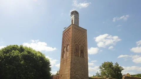 CHELLAH Stock Footage 91880139