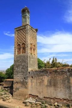 Chellah Stock Photos