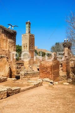 Chellah in Rabat Stock Photos
