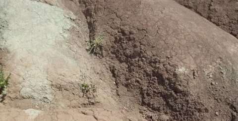 Cheltenham Badlands Stock Footage 54719832