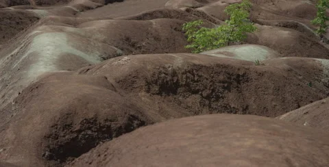 Cheltenham Badlands Stock Footage 55255856