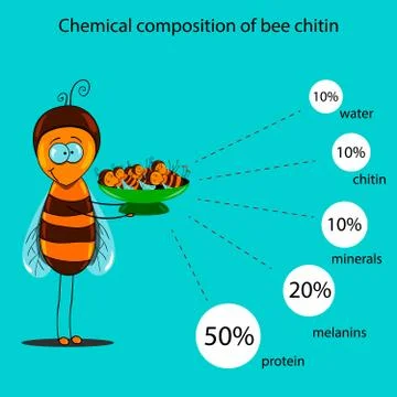 Chemical composition of bee chitin Stock Illustration