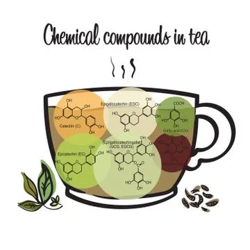 Chemical compounds in tea Stock Illustration