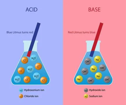 Chemical difference between acids and bases is that acids produce hydrogen ions Stockillustratie