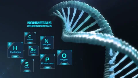 Chemical elements of the periodic table. Other nonmetals. DNA chain. Stock Footage 144730980