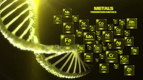 Chemical elements of the periodic table. Transition metals. DNA chain. Stock Footage 144731029