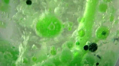 Chemical experience Stock Footage 69209754