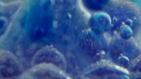 Chemical experience Stock Footage 69209776