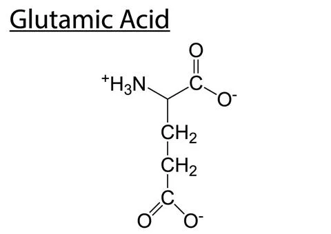 Chemical formula of Glutamic Acid Stock Illustration