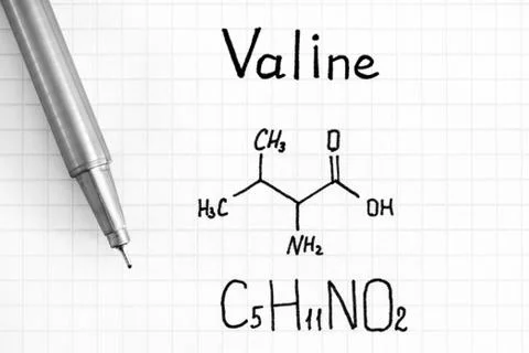 Chemical formula of Valine with pen. Stock Photos