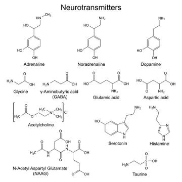 Chemical formulas of basic neurotransmitters Stock Illustration
