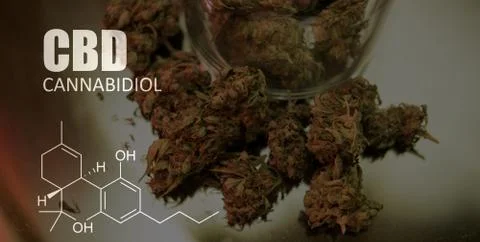 Chemical formulas of elements THC CBD in marijuana medical strains Stock Photos