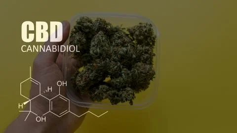 Chemical formulas of elements THC CBD in marijuana medical strains Stock Photos