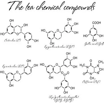 Chemical formules of tea components Illustrazione stock