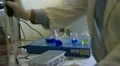 chemical laboratory HD Footage