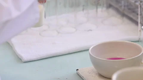 Chemical laboratory for testing of milk Stock Footage 62288182