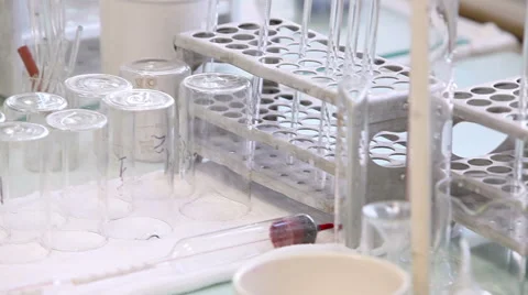 Chemical laboratory for testing of milk Stock Footage 62288852