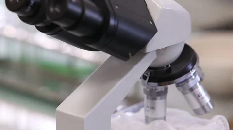 Chemical laboratory for testing of milk Stock Footage 62289119