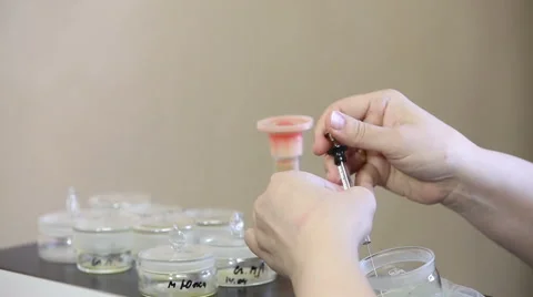 Chemical laboratory for testing of milk Stock Footage 62289207