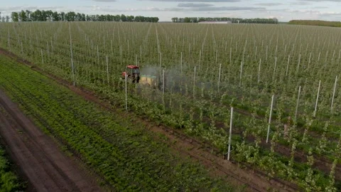 Chemical processing apple orchard machinery sprayer tractor flowering industry Stock Footage 131091820