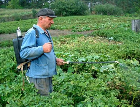 Chemical processing of a potato Stock Photos
