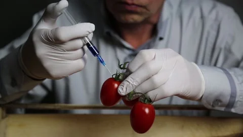 Chemical processing of vegetables, fertilizers and GMOs Stock Footage 121461051