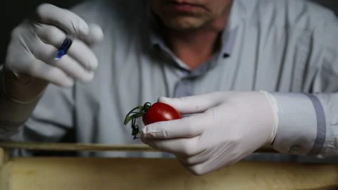 Chemical processing of vegetables, fertilizers and GMOs. Stock Footage 121461132