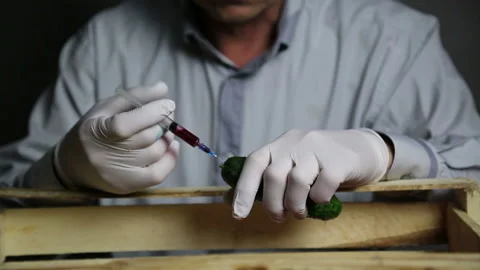 Chemical processing of vegetables, injection with chemicals. Stock Footage 120458499