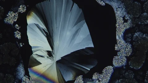 Chemical Reaction under Microscope. Crystals vitamins 库存影片 88673071