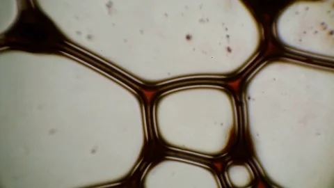 Chemical reaction under microscope Stock Footage 70736140