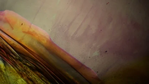 Chemical reaction under microscope 스톡 동영상 70736208