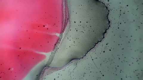 Chemical reaction under microscope Stock Footage 70736250