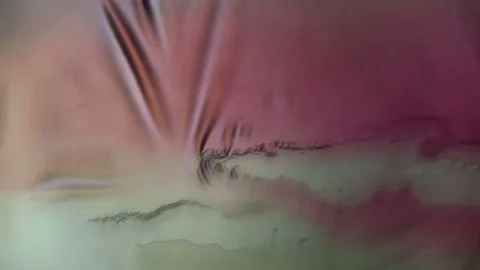 Chemical reaction under microscope Stock Footage 70736322