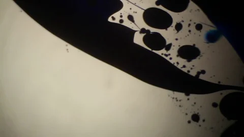 Chemical reaction under microscope Stock Footage 70736323