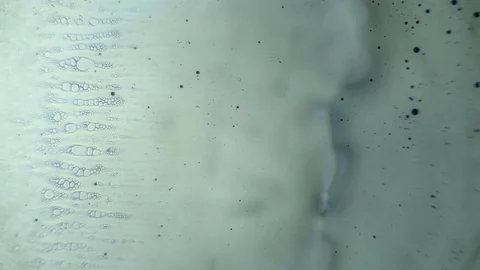Chemical reaction under microscope Stock Footage 70736350