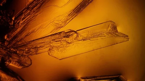 Chemical reaction under microscope Stock Footage 70736376