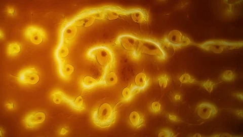 Chemical reaction under microscope 스톡 동영상 70736456