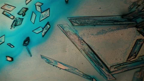 Chemical reaction under microscope 스톡 동영상 70736507